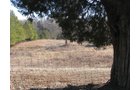 Property photo 31 - 97.5 Acres - Executive Home and Secluded Retreat